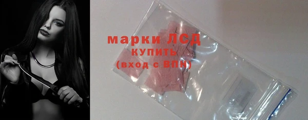 индика Алексеевка